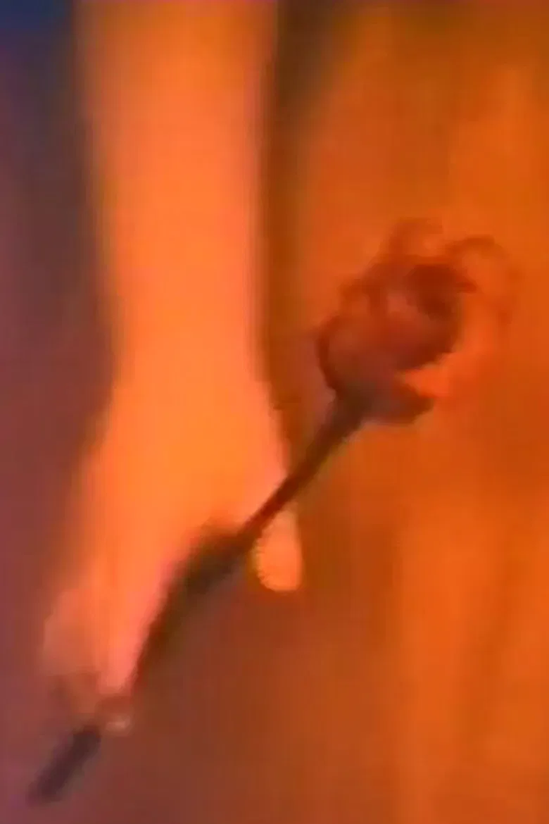 My collections poster background