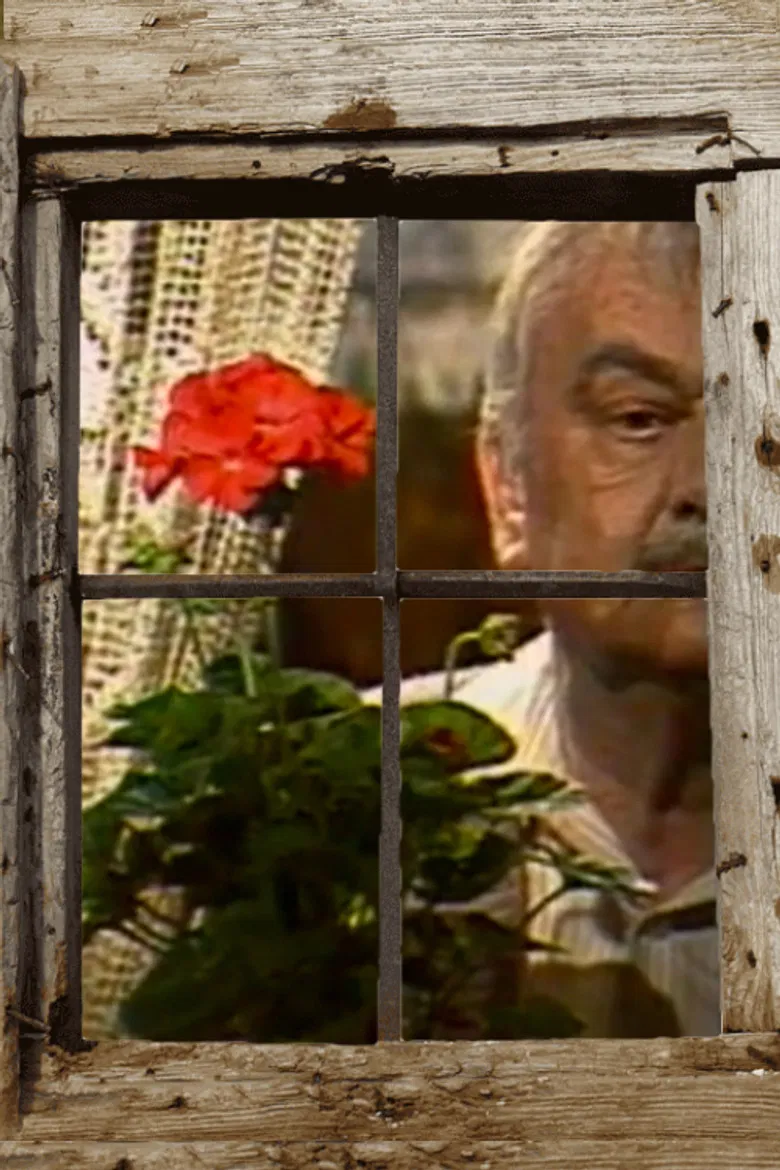 Be Like the Sun poster background