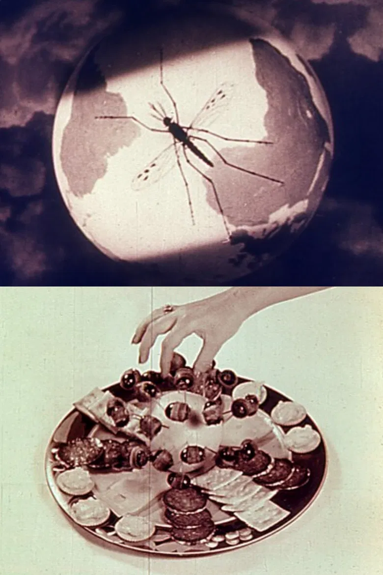 Lotus Wing poster background