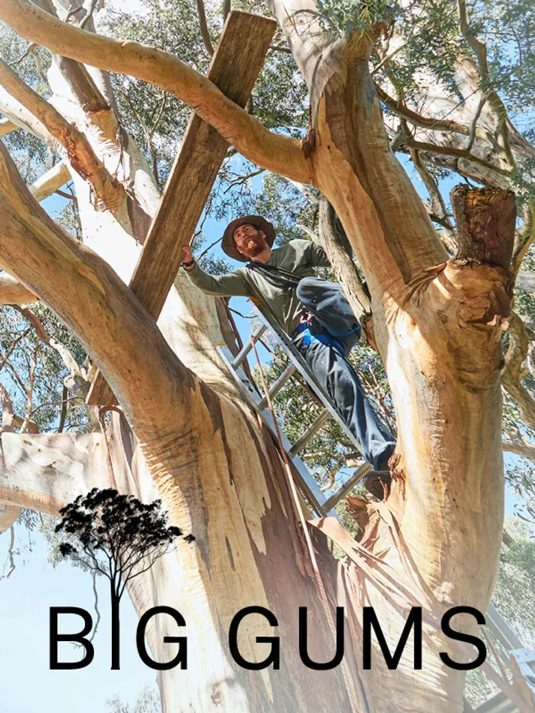 Big Gums poster background