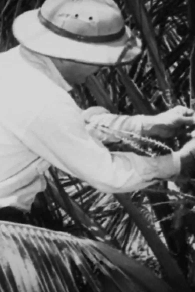 Álbum Cinematográfico de Sergipe poster background