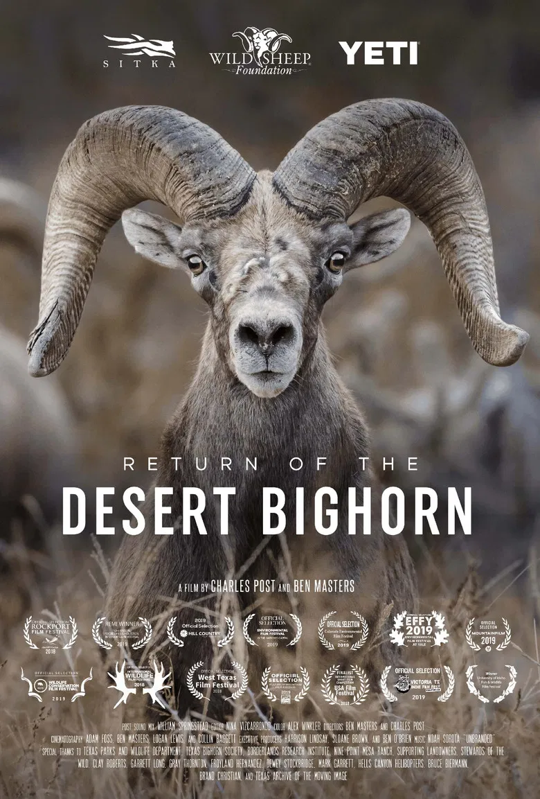 Return of the Desert Bighorn poster background