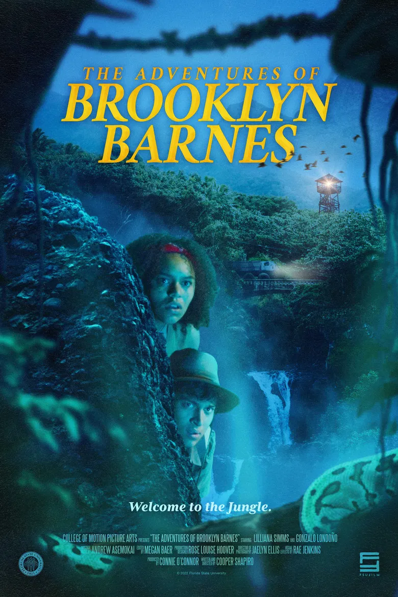 The Adventures of Brooklyn Barnes poster background