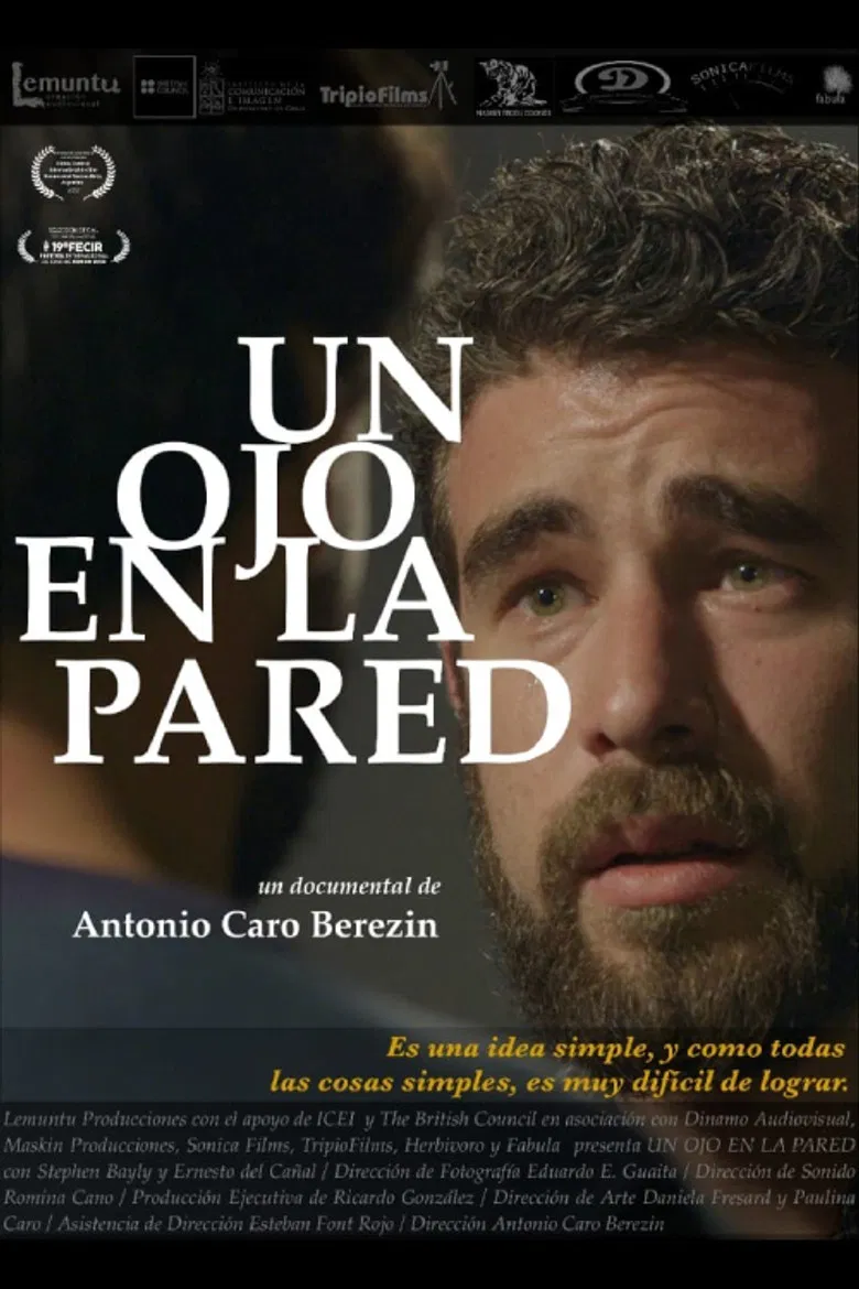 Through the Wall poster background