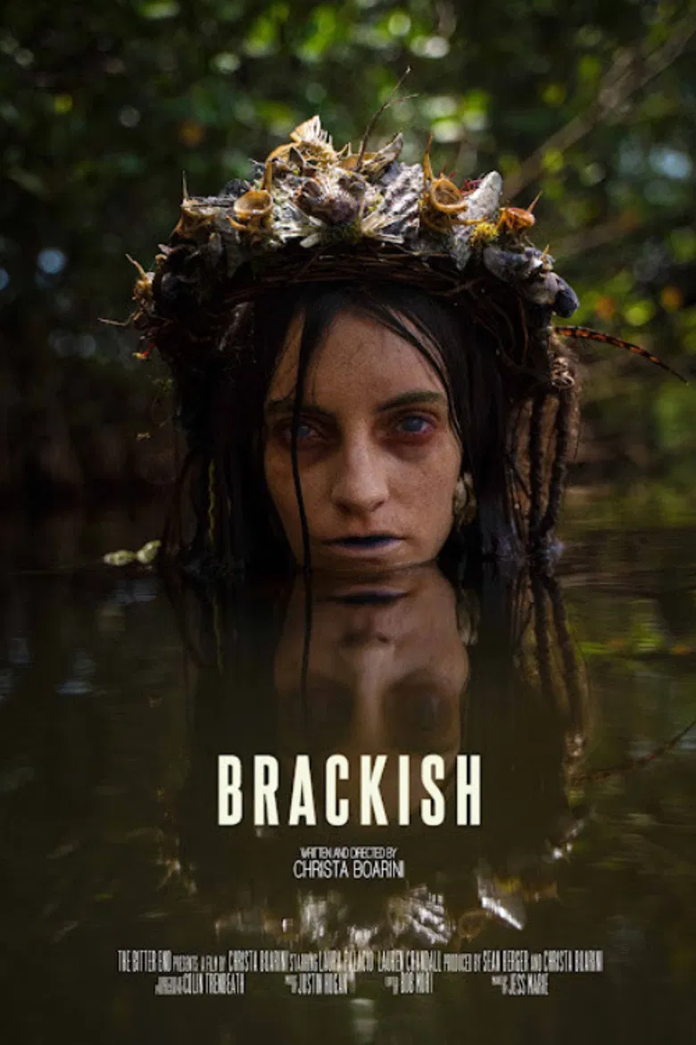 Brackish poster background