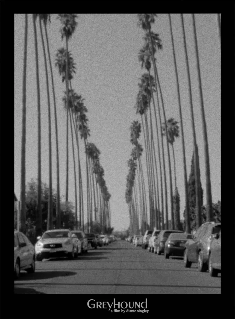 Greyhound poster background