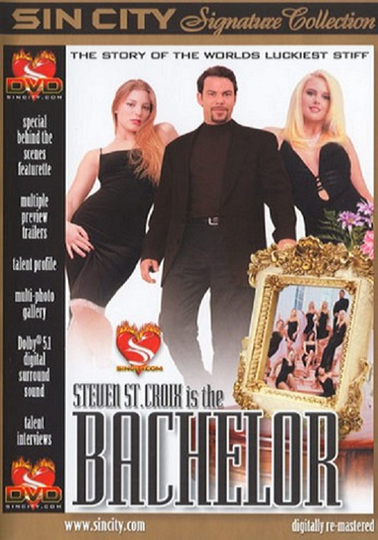 The Bachelor poster background