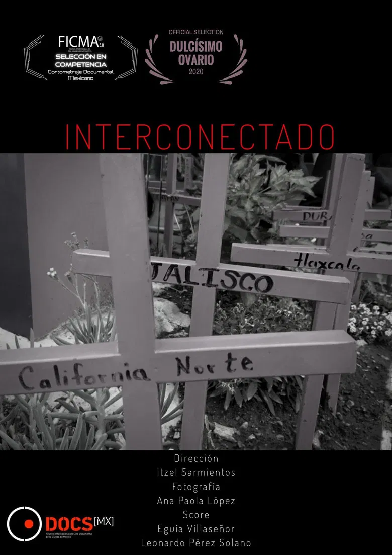 Interconectado poster background
