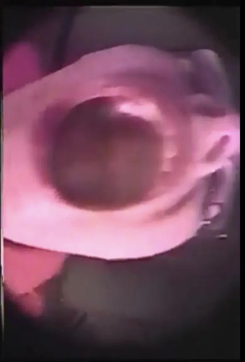 Tribute to Gloria Vanderbilt, Pt 2 poster background