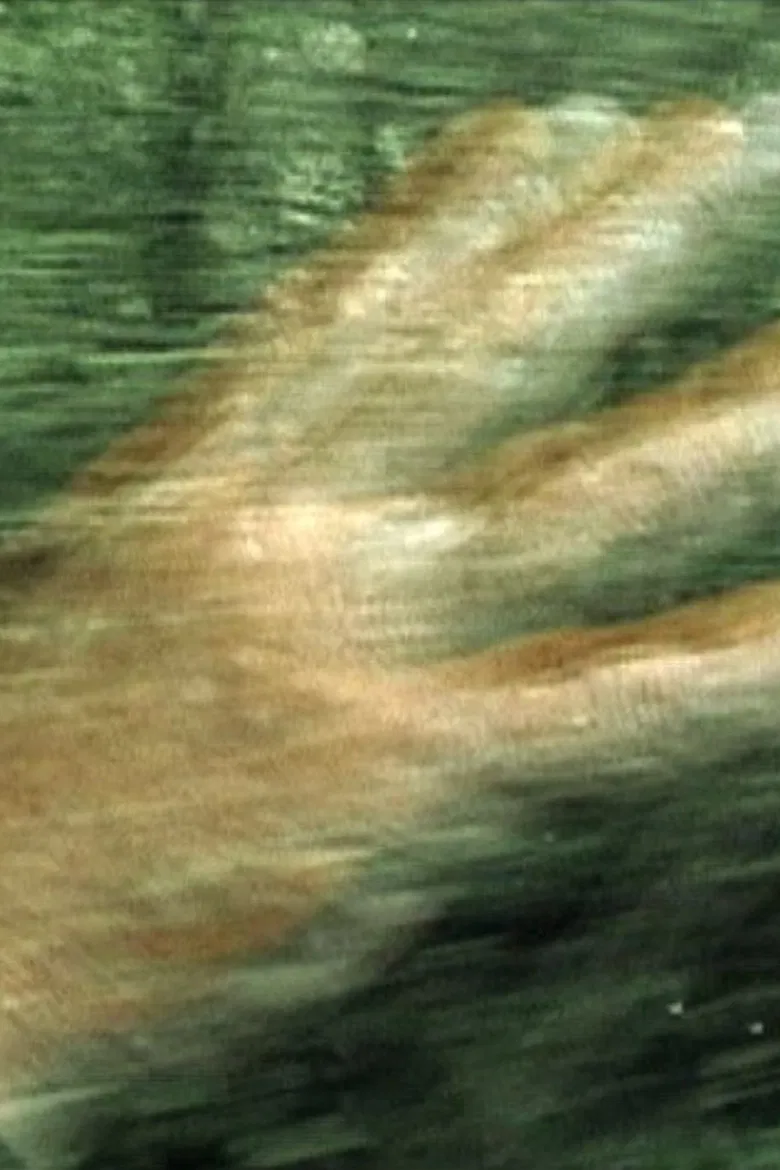 Travel Dream poster background