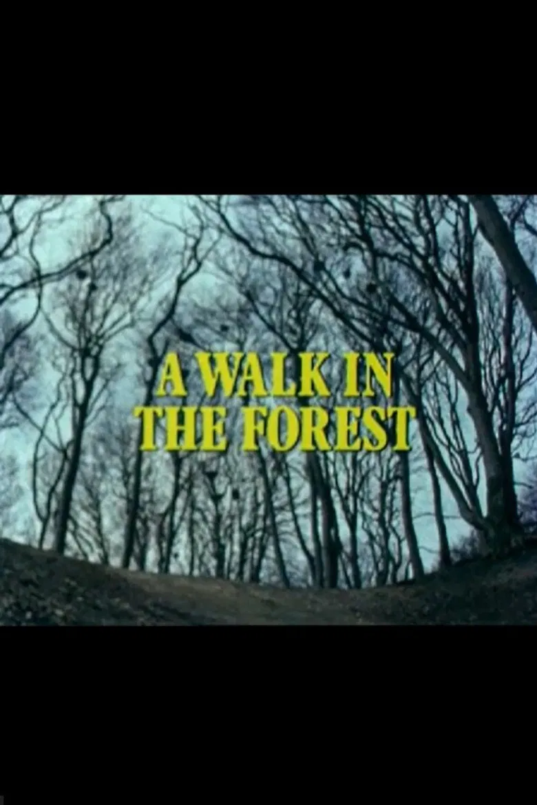 A Walk in the Forest poster background