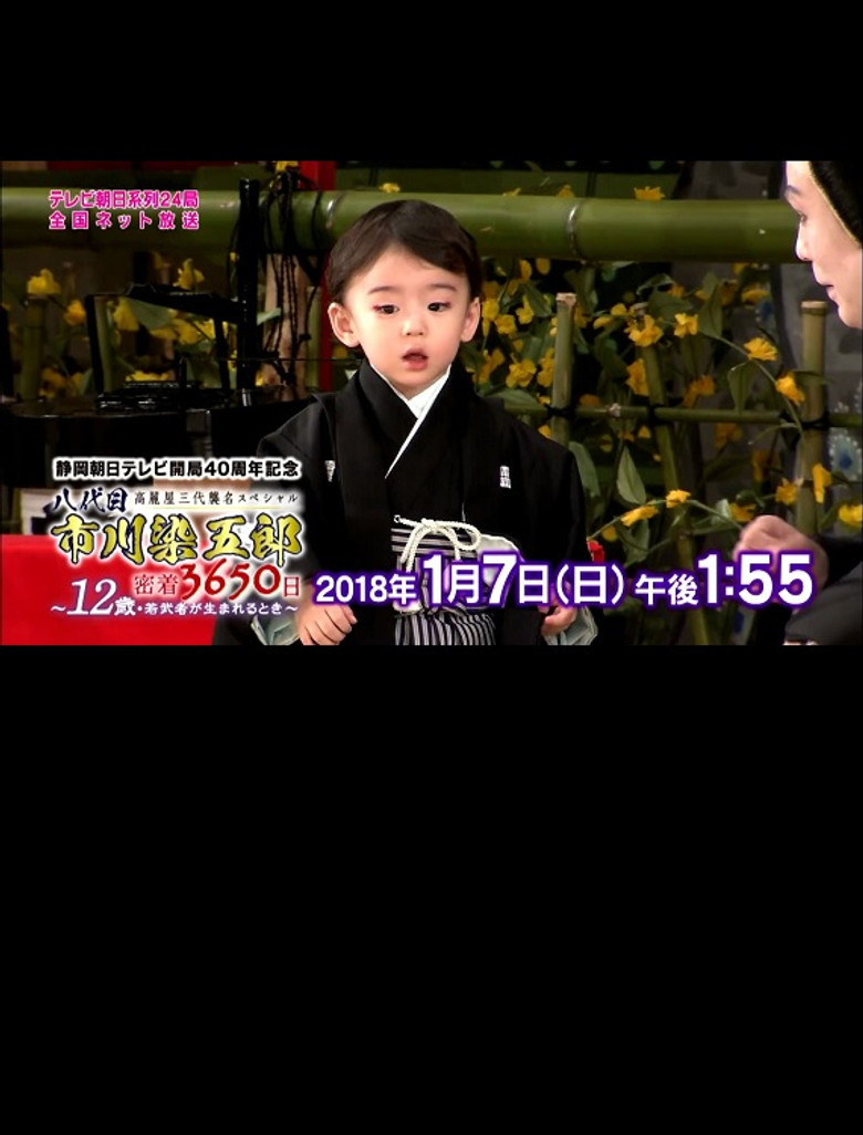 八代目市川染五郎 密着3650日～12歳・若武者が生まれるとき～ poster background