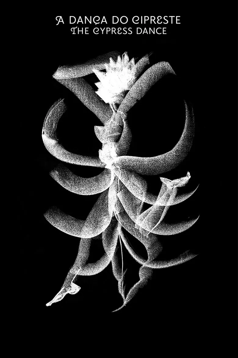 The Cypress Dance poster background