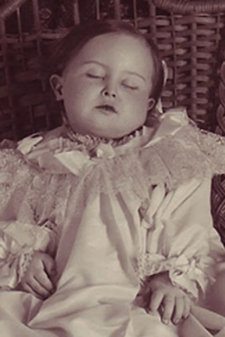 Corpus Camera poster background