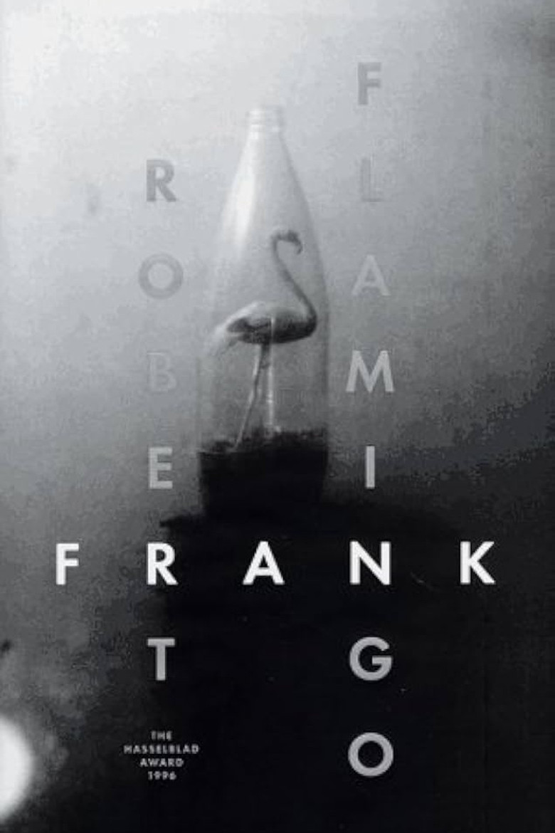 Flamingo poster background