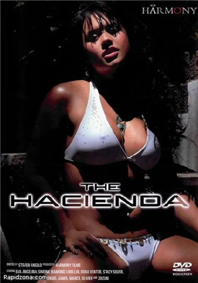 The Hacienda poster background