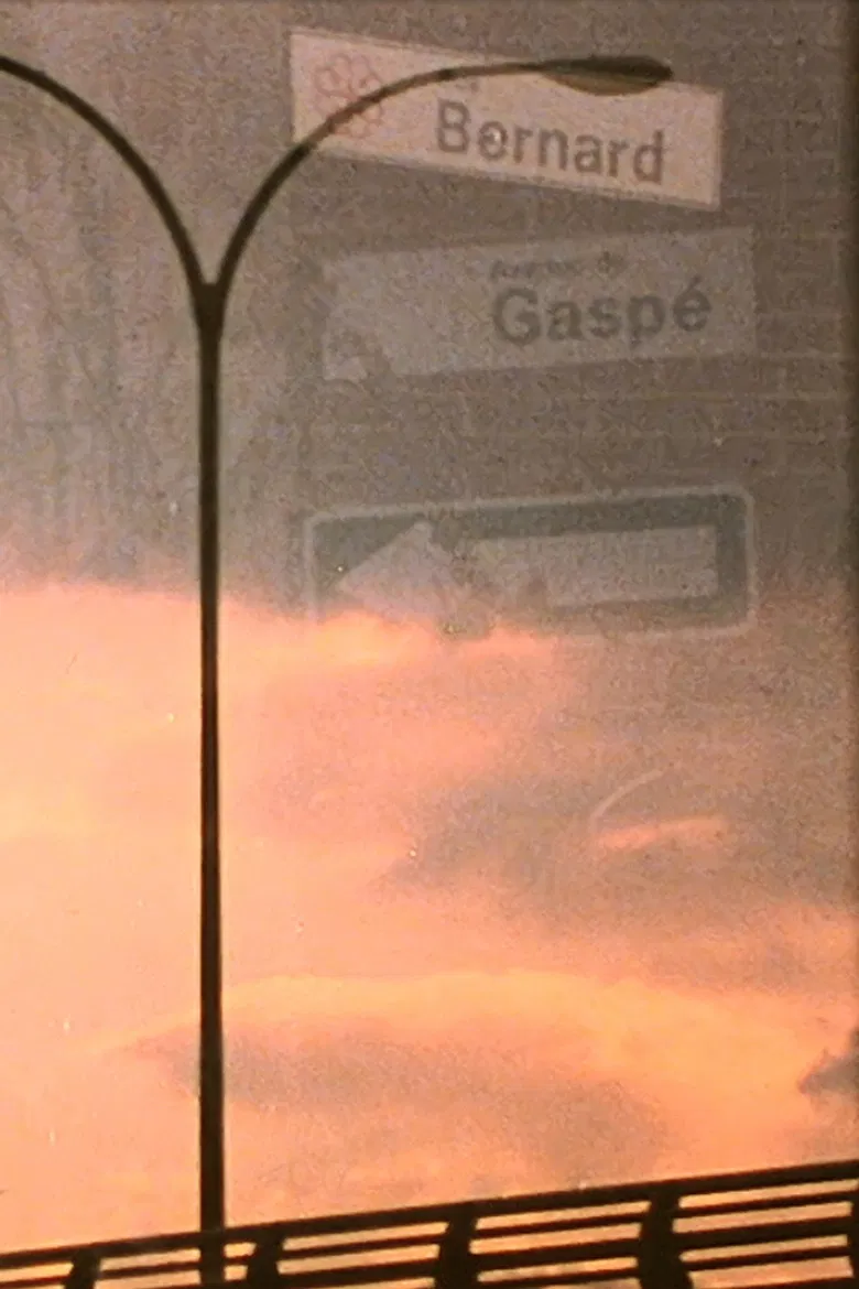 bernard gaspé poster background