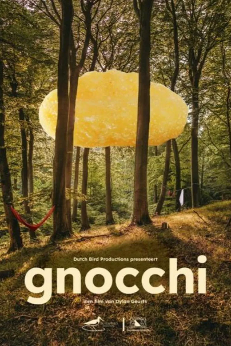 Gnocchi poster background