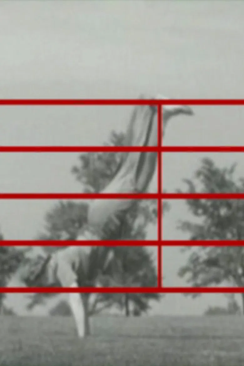 Screen Play poster background