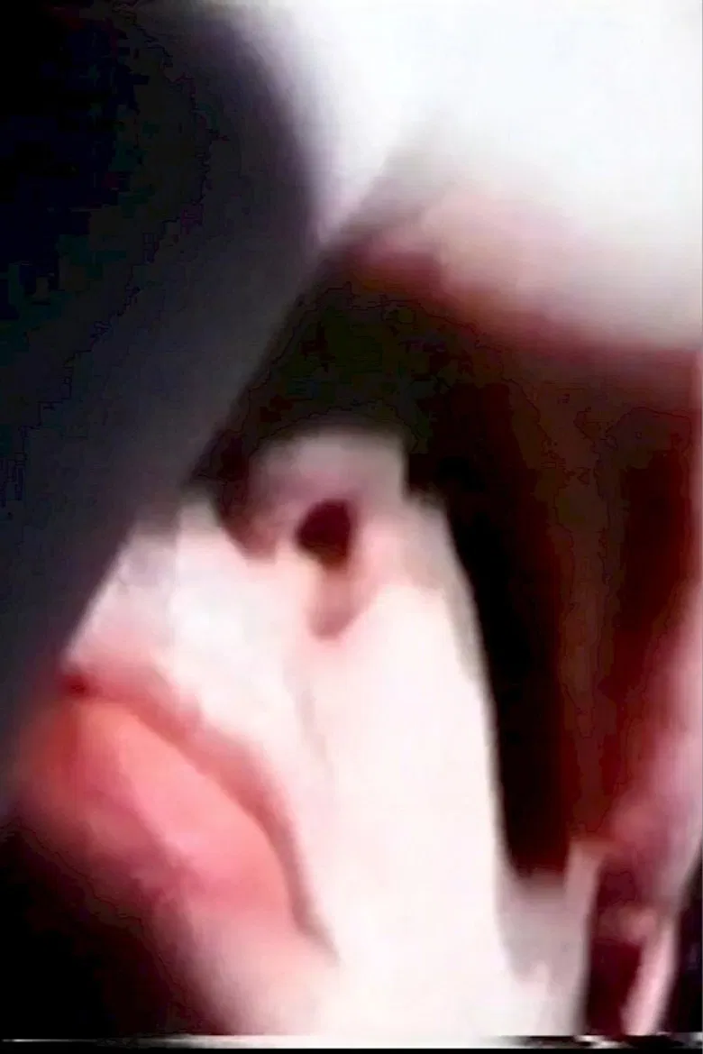 La Vérité Nue poster background