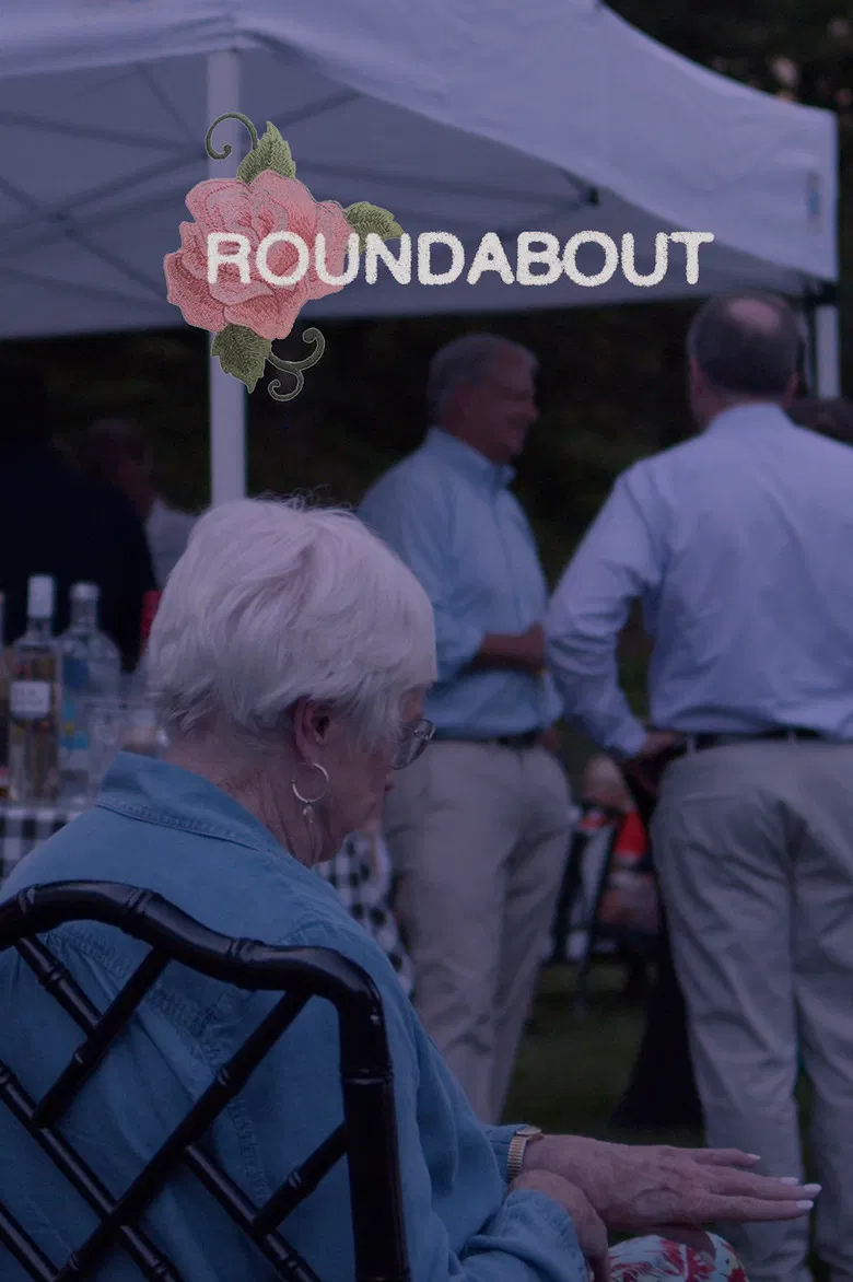 Roundabout poster background