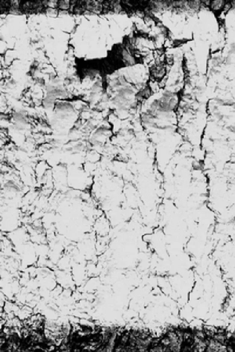 . . . . Yellow Dawn poster background