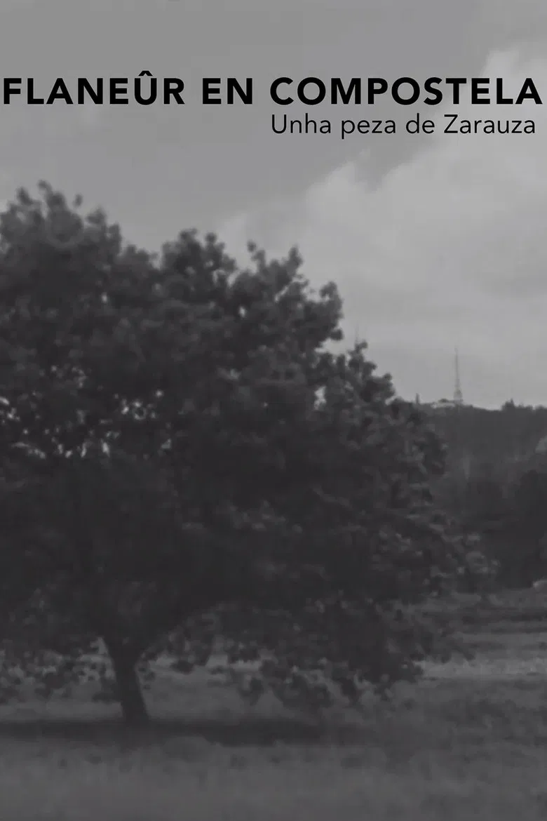 Flanêur en Compostela poster background