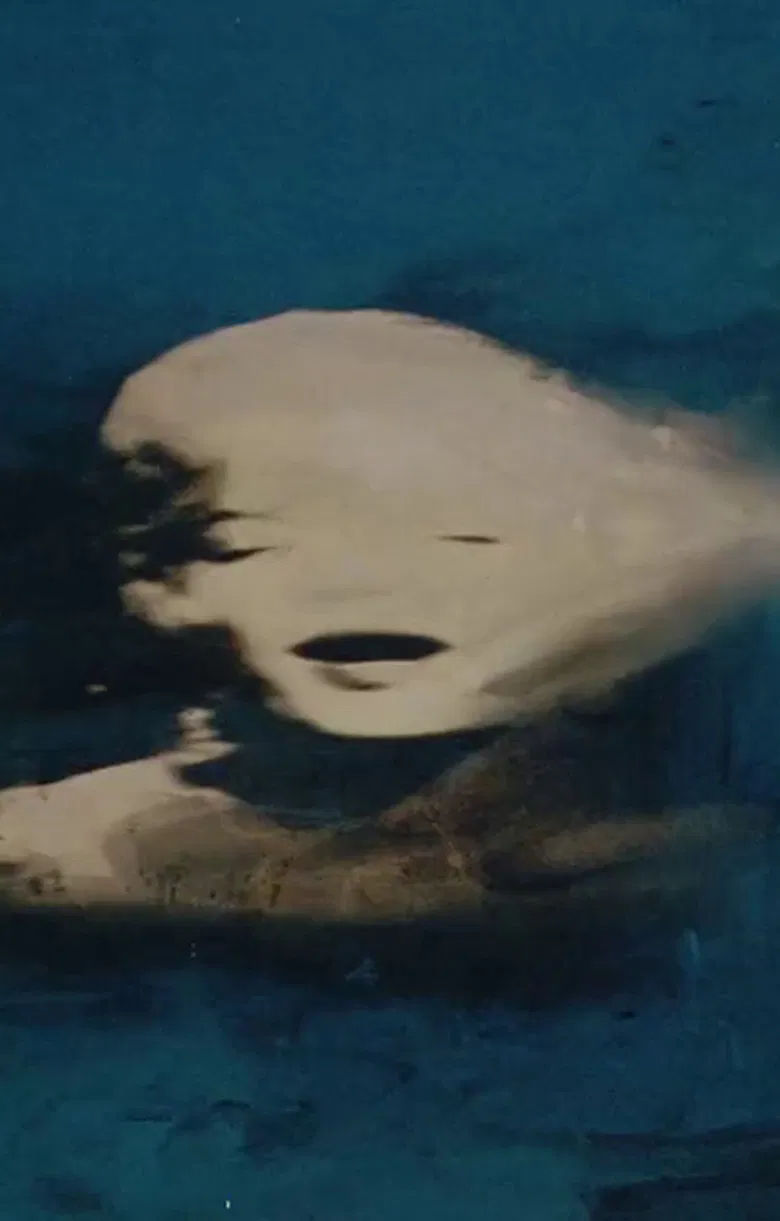 Biennale di Venezia 56° - Sigla poster background