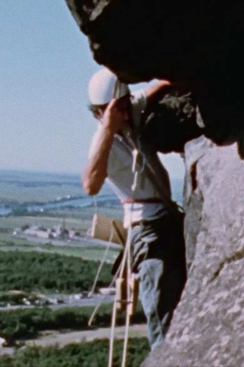 Sheer Sport poster background