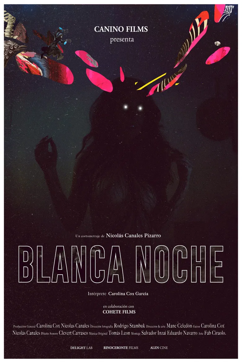 Blanca noche poster background