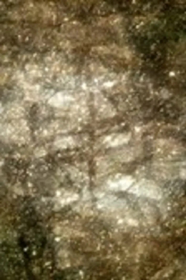 KONTRAST poster background