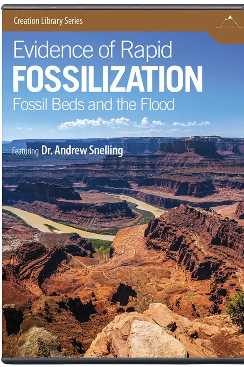 Evidence of Rapid Fossilization poster background