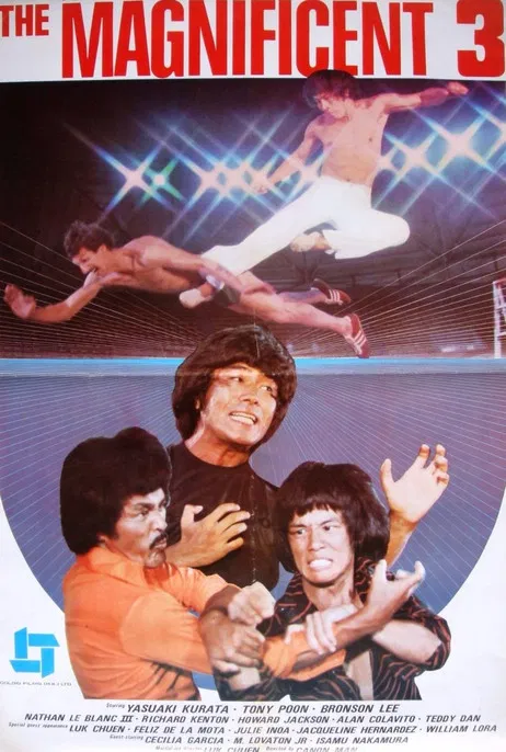 The Magnificent 3 poster background