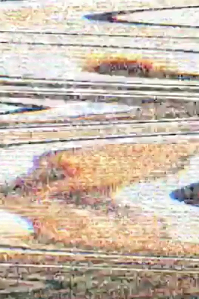 Art Tour poster background