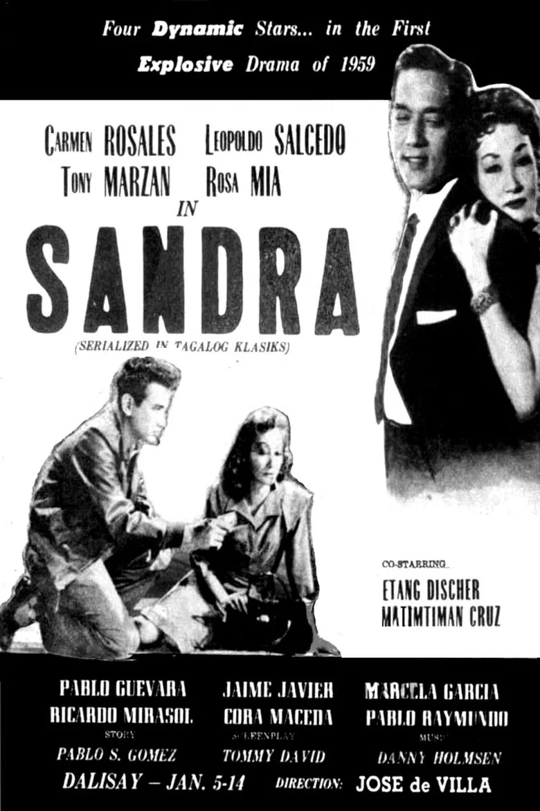 Sandra poster background