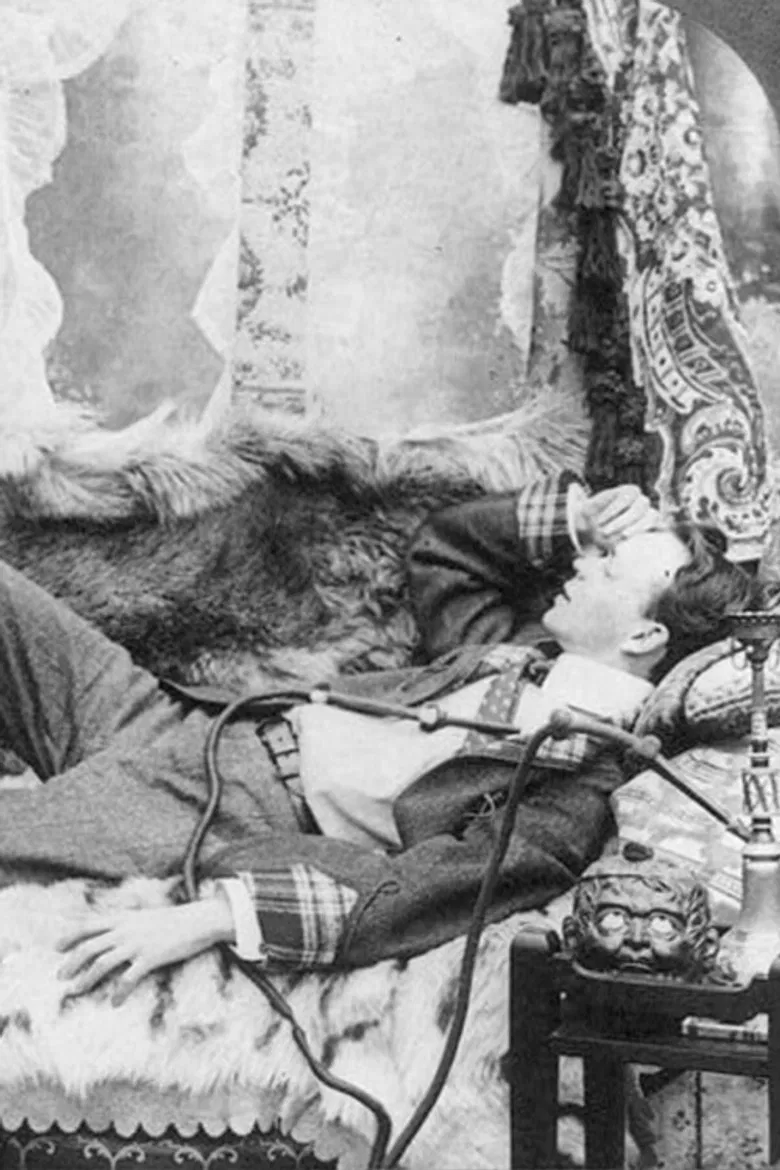 Das Irrlicht im Osten poster background