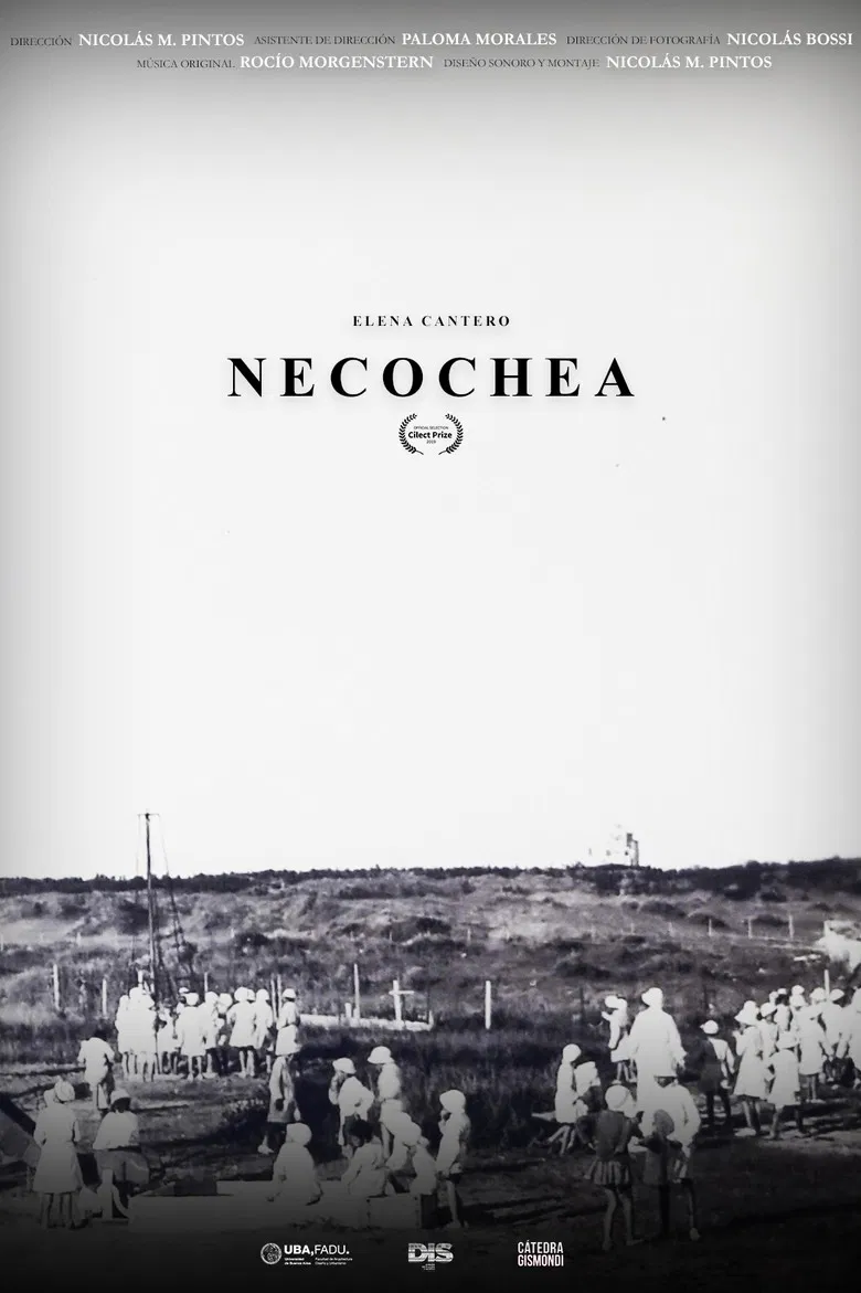 Necochea poster background