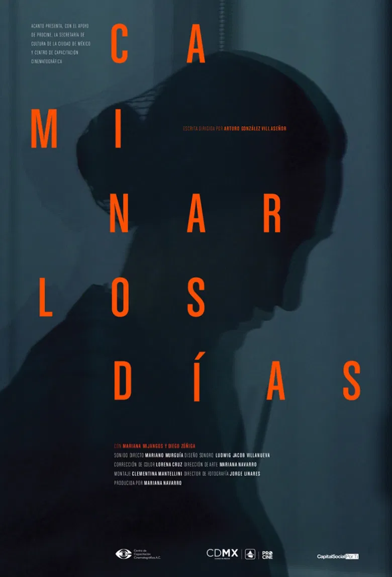 And The Days Never Stop Walking poster background