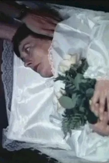 Gestatten, Bestatter poster background