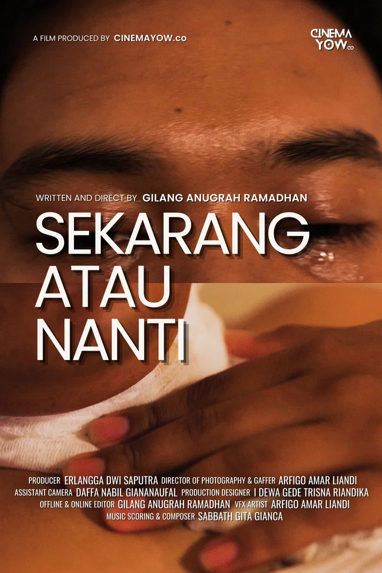 Now or Never poster background