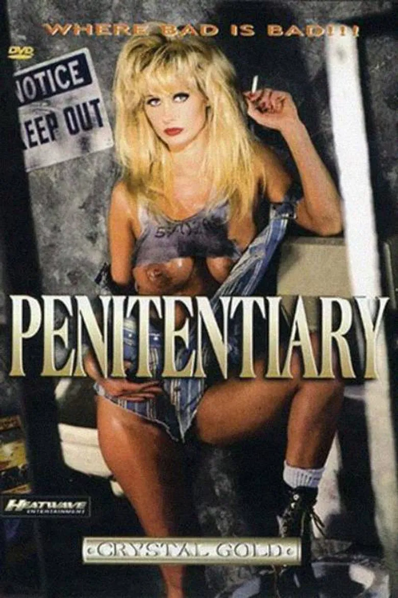 Penitentiary poster background