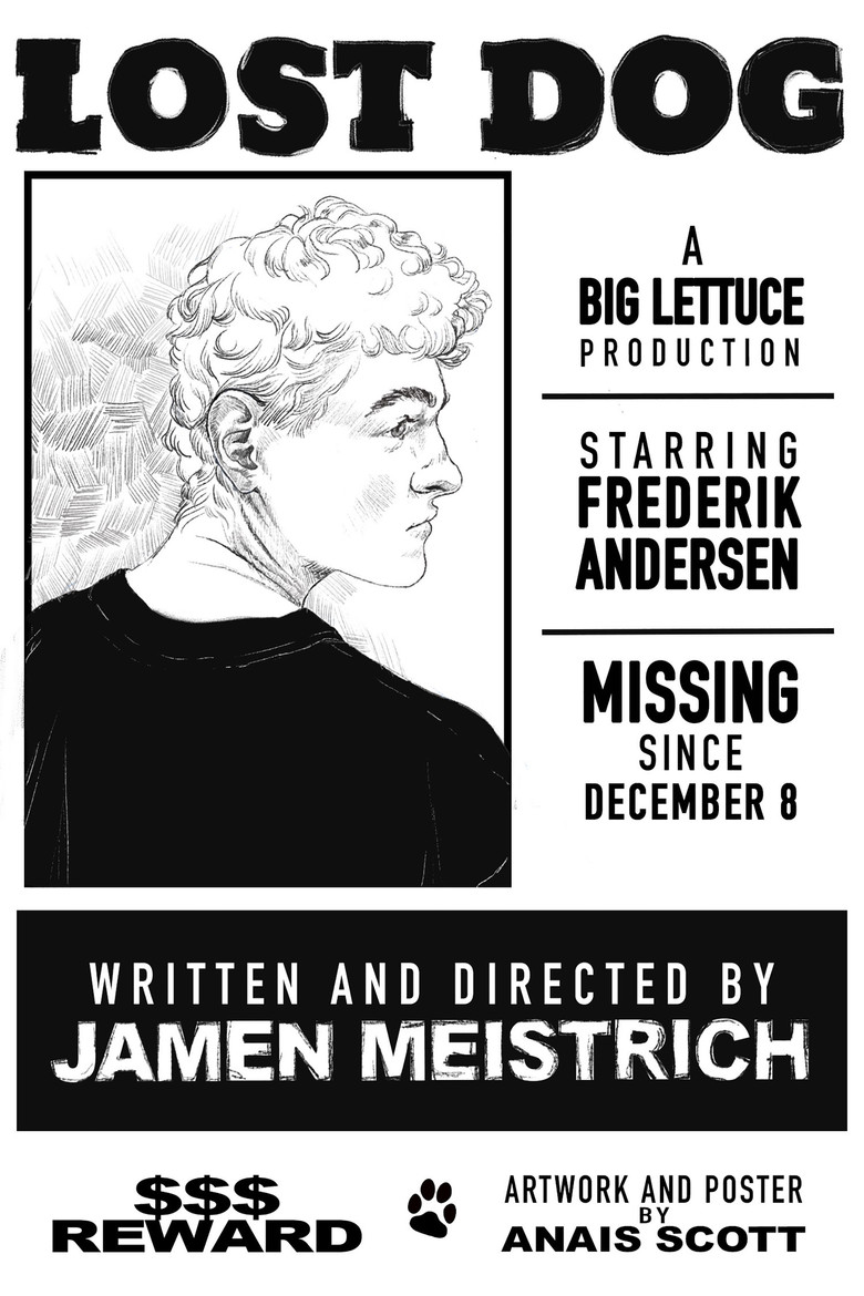 Lost Dog poster background