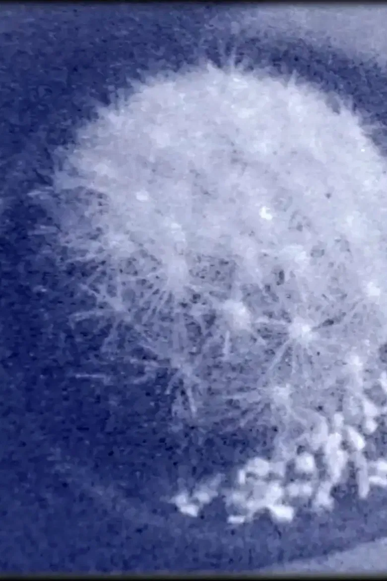 Kites at the Kamogawa (for Jonas Mekas) poster background