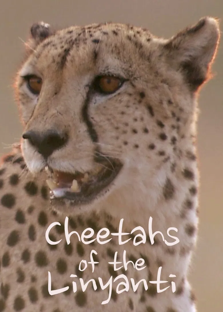 Cheetahs of the Linyanti poster background