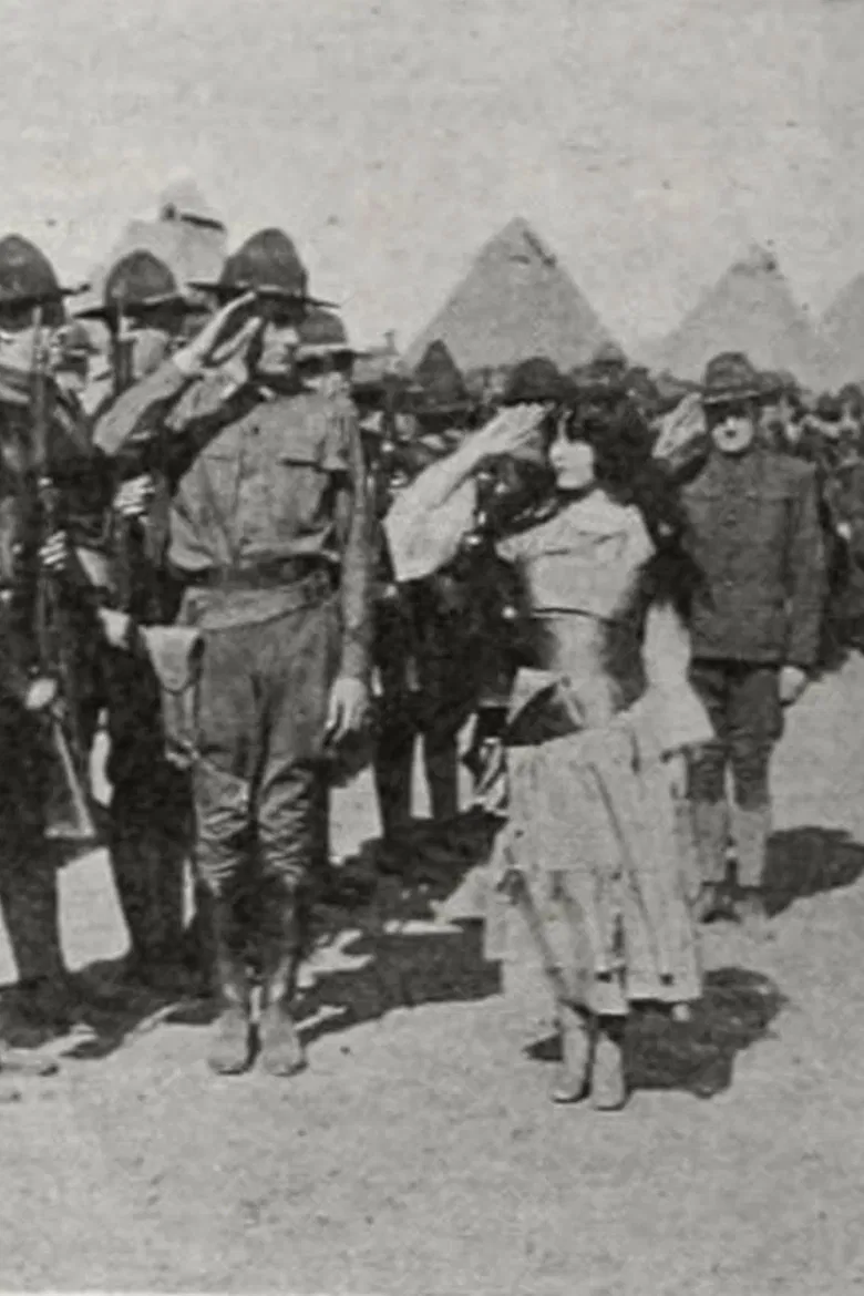 The Little Boy Scout poster background