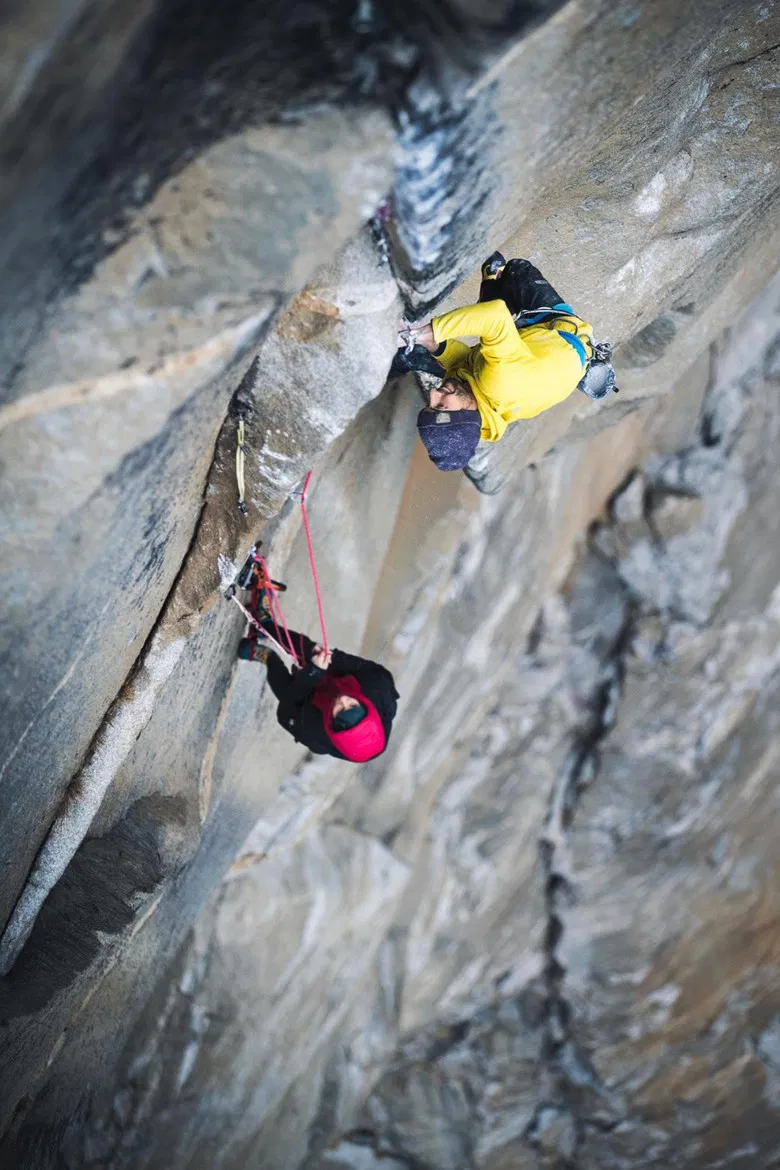 Magic Mushroom poster background