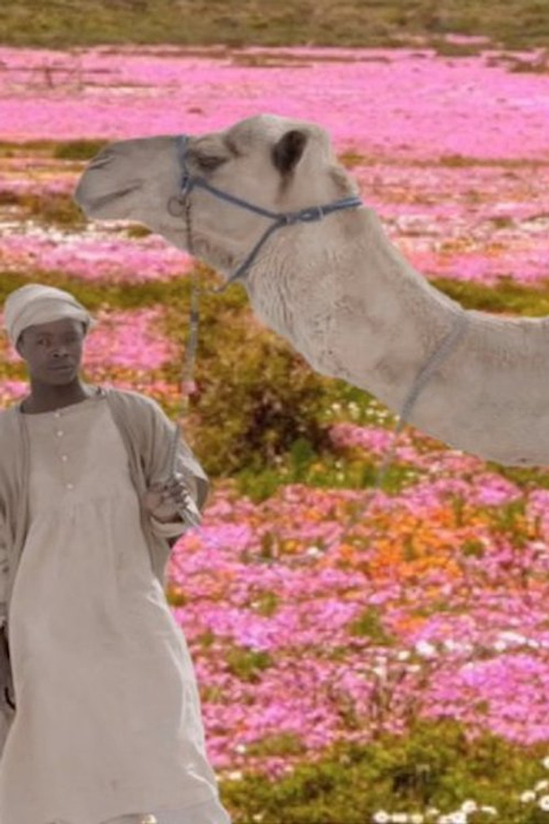 The Future Was Desert poster background