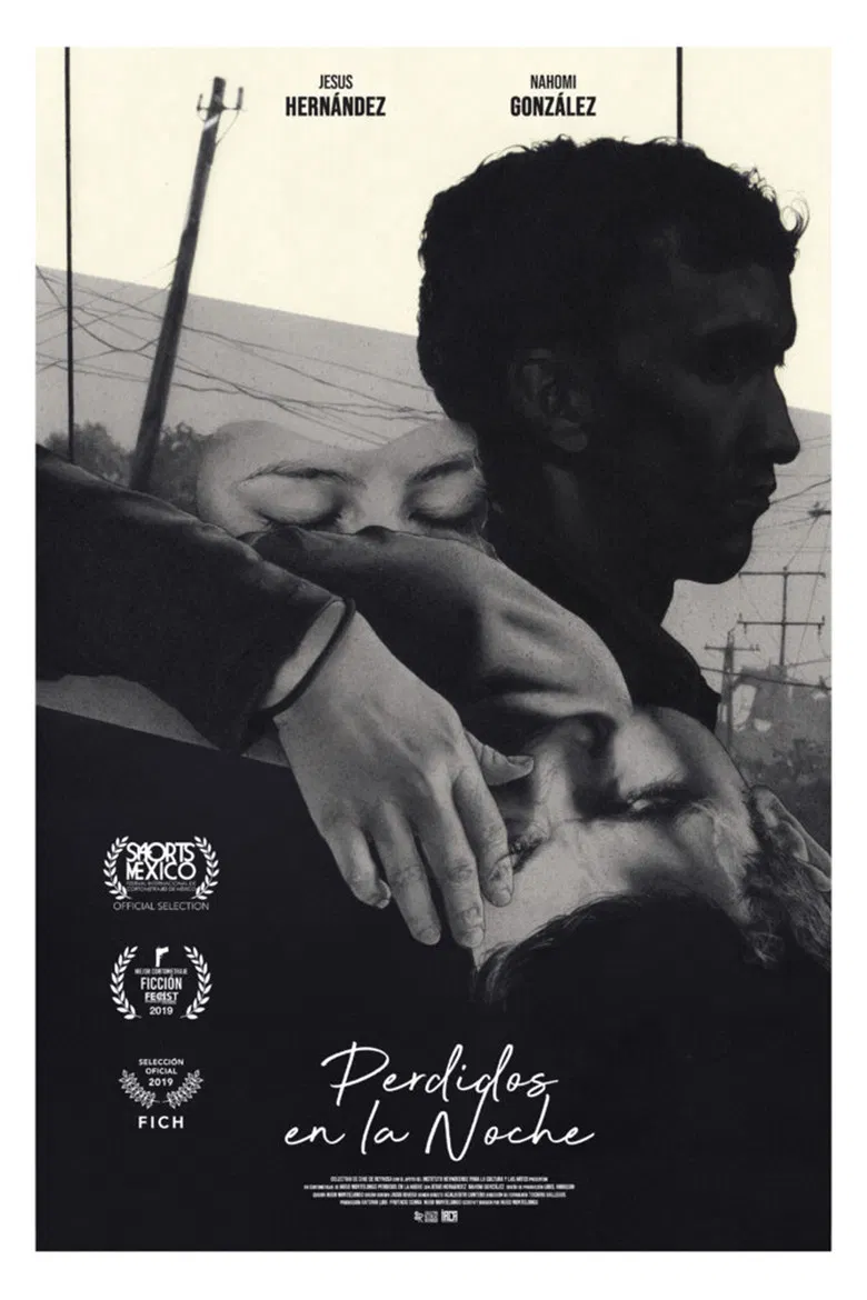 Lost in the Night poster background