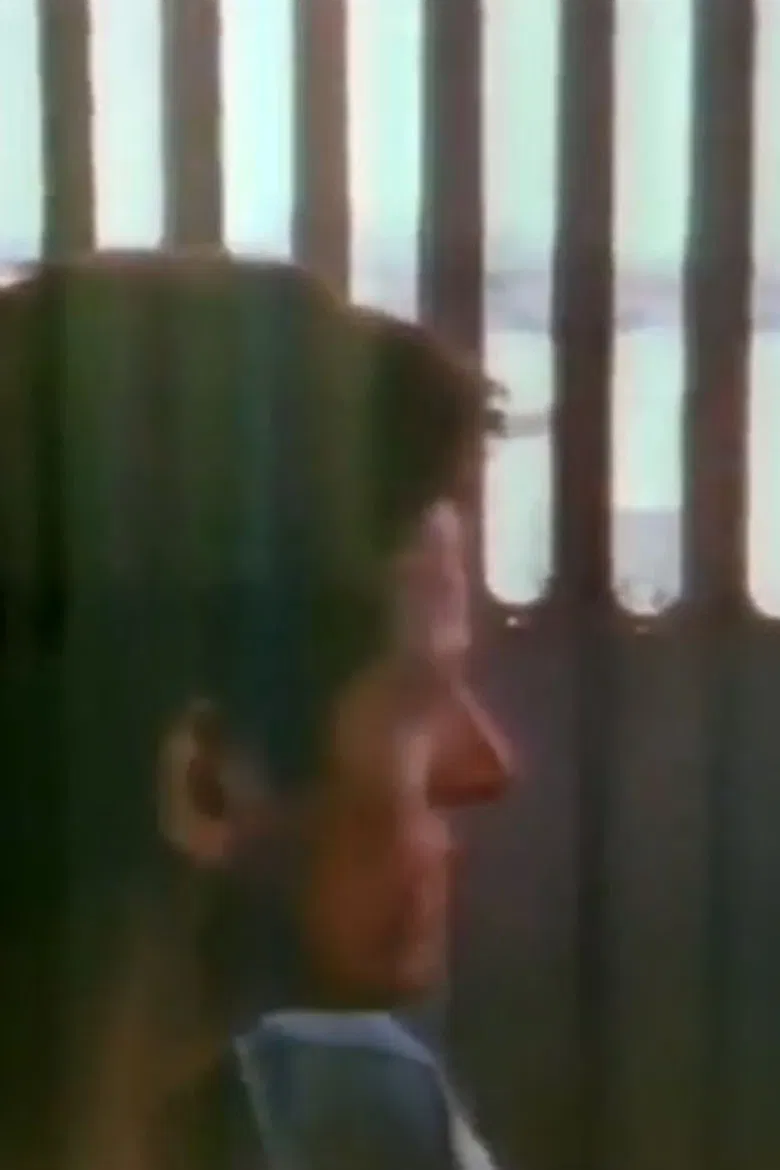 The Blue Nile: Flags and Fences poster background