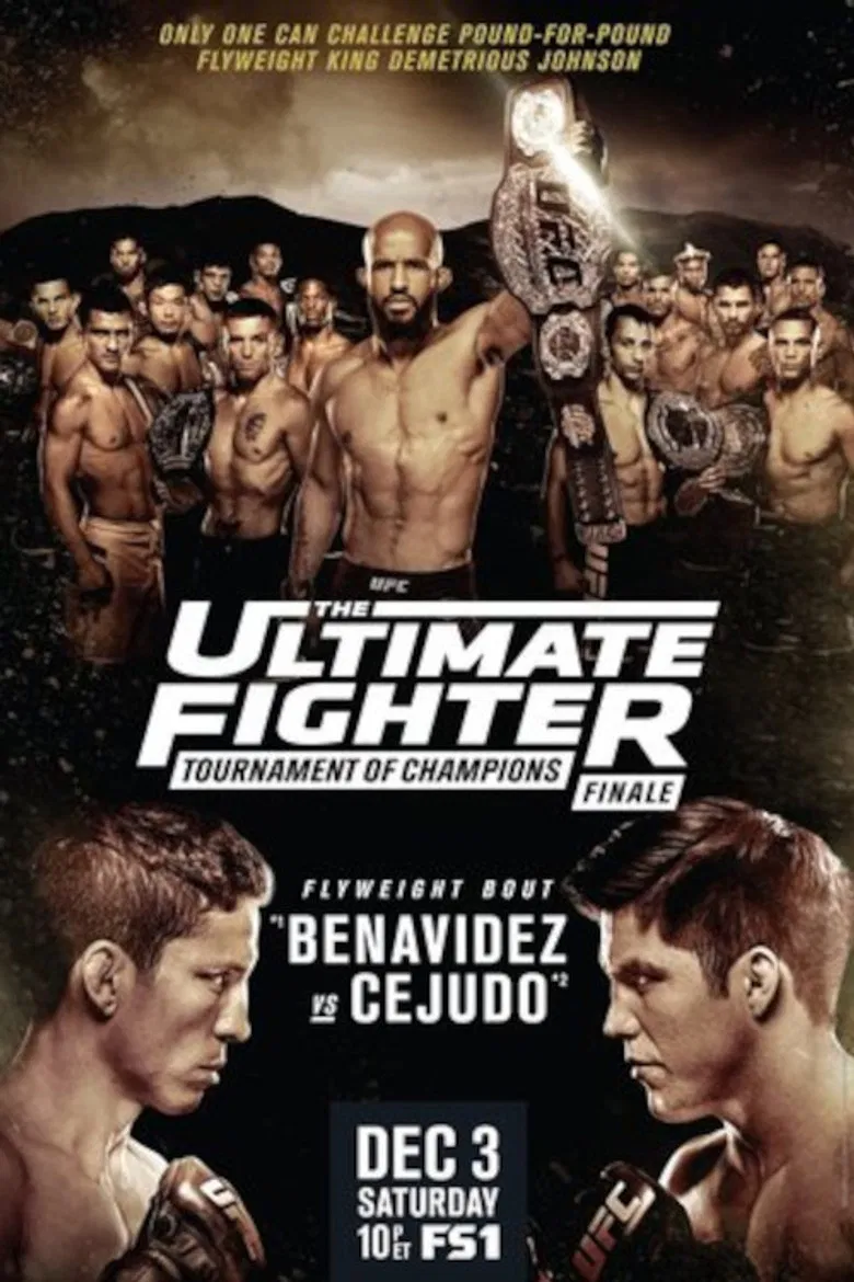 The Ultimate Fighter 24 Finale poster background